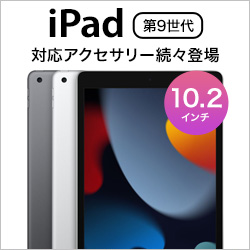 iPad 2021 б꡼