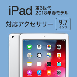 iPad(6) 2018 б꡼