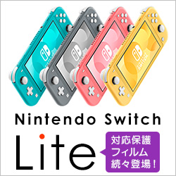 NintendoSwitch Lite б꡼
