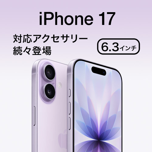 iPhone 17 б꡼
