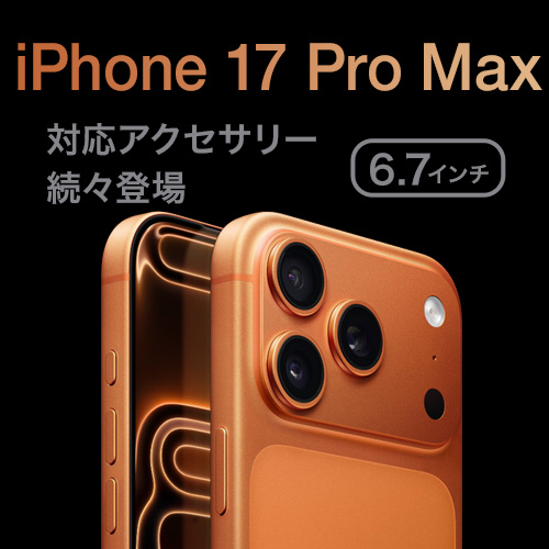 iPhone 17 Pro Max б꡼