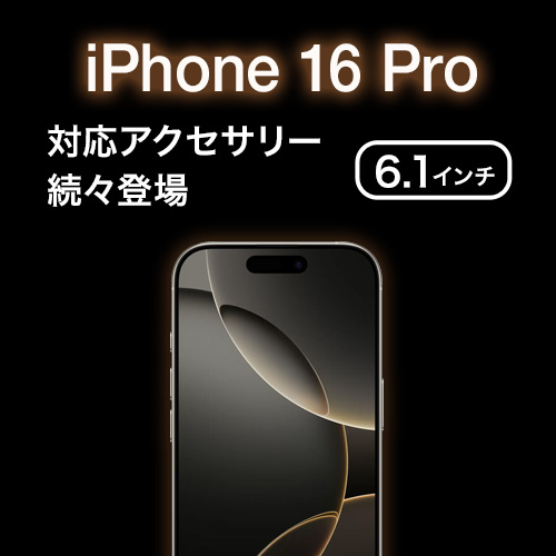 ӥ (visavis)  iPhone 16 Pro б ݸե ꡼