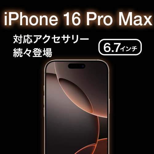 ӥ (visavis)  iPhone 16 Pro Max б ݸե ꡼